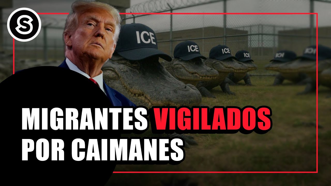 Migrantes serían COMIDOS por COCODRILOS en Alligator Alcatraz, PRISIÓN de Trump | Reportaje