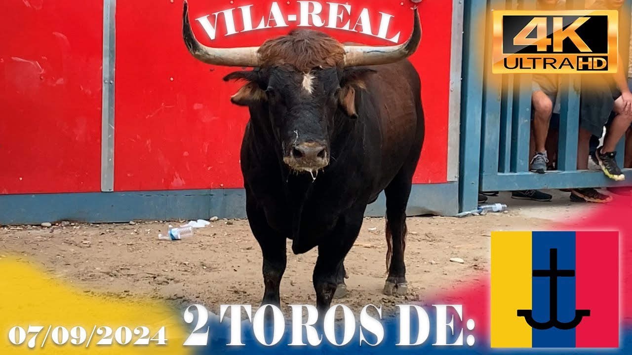 VILA REAL, 2 TOROS DE LOS RONCELES 2024 4K