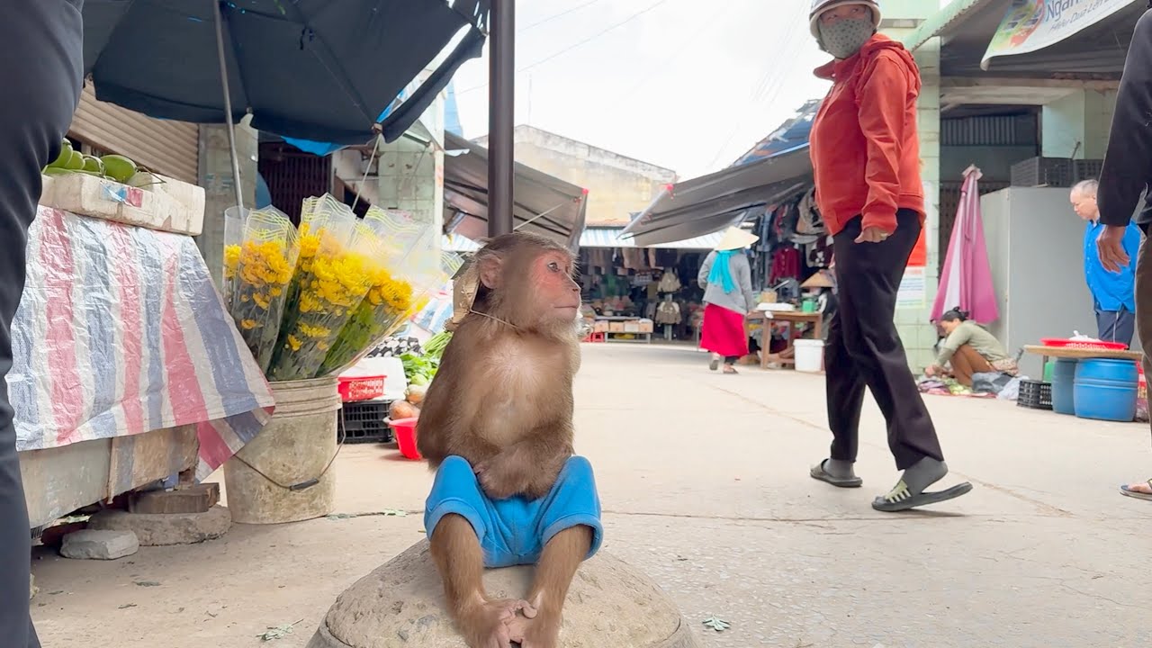 You Can’t Stop Smiling! CUTIS’ Market Trouble Cracks Everyone Up