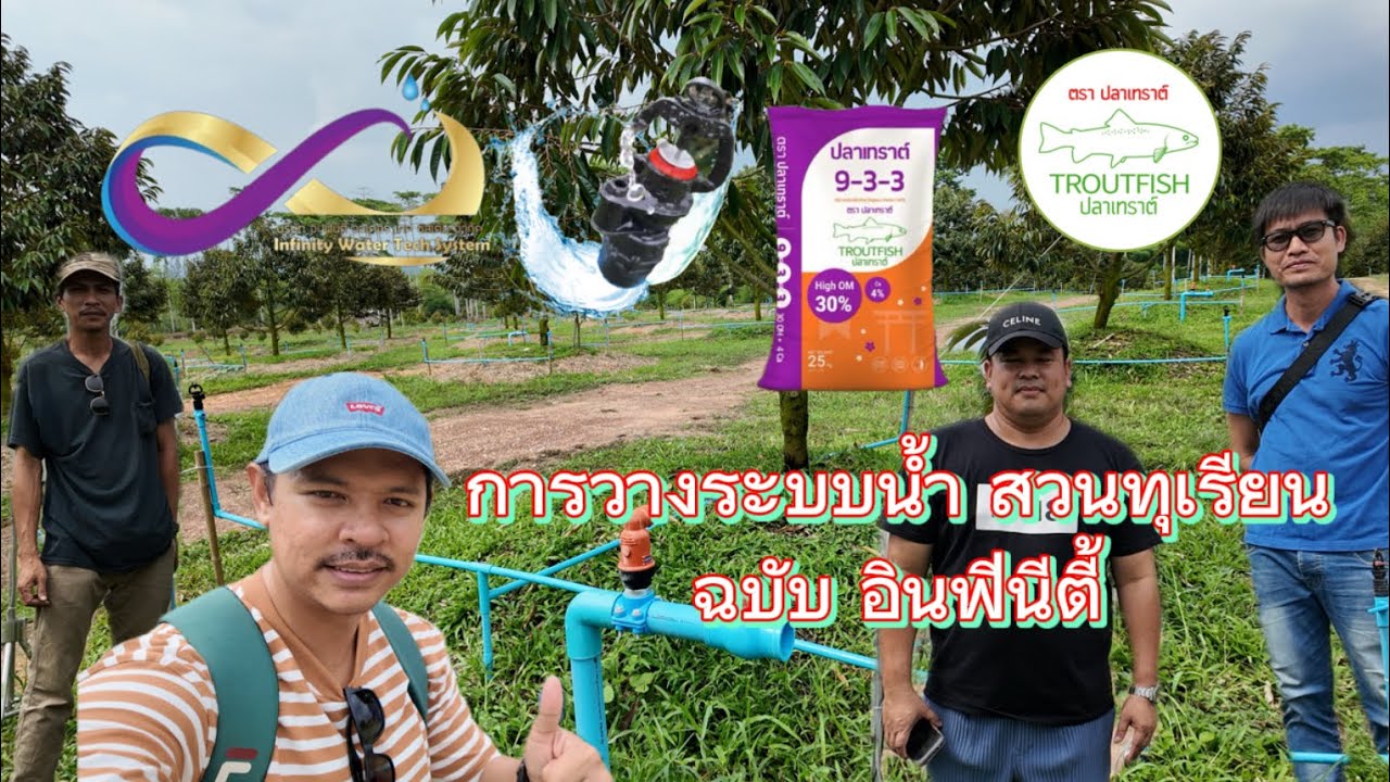 การวางระบบน้ำสวนทุเรียนโดยบริษัทอินฟินิตี้ ระบบน้ำครบวงจร