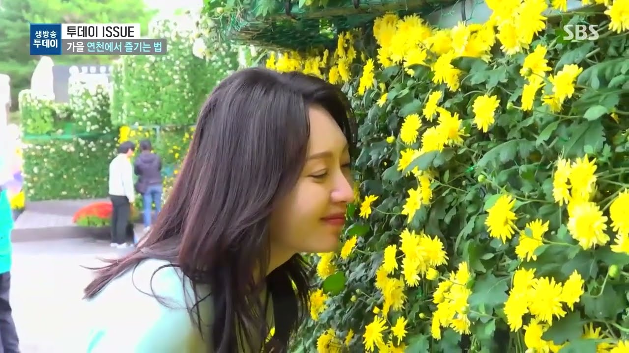 #기획_가을이 아름다운 연천! 생방송투데이_투데이 이슈로 만나다