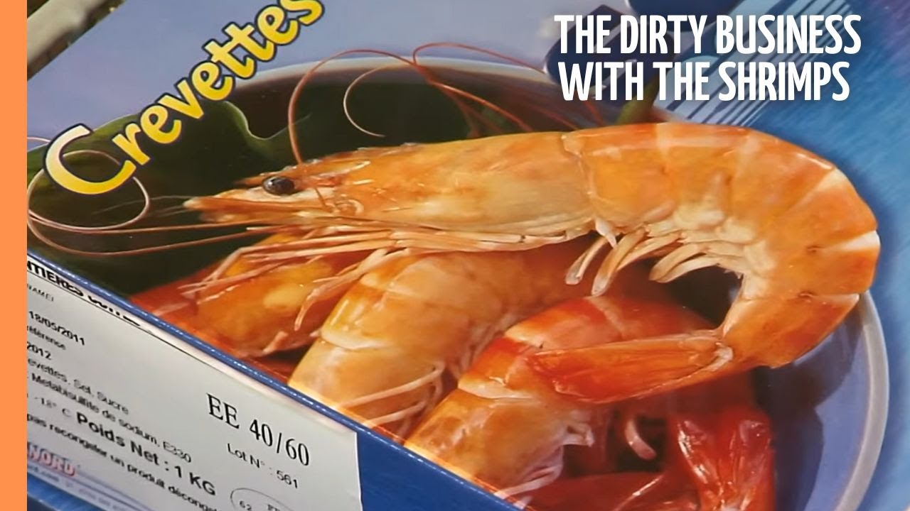 The dirty business with the shrimps | Full Documentary
