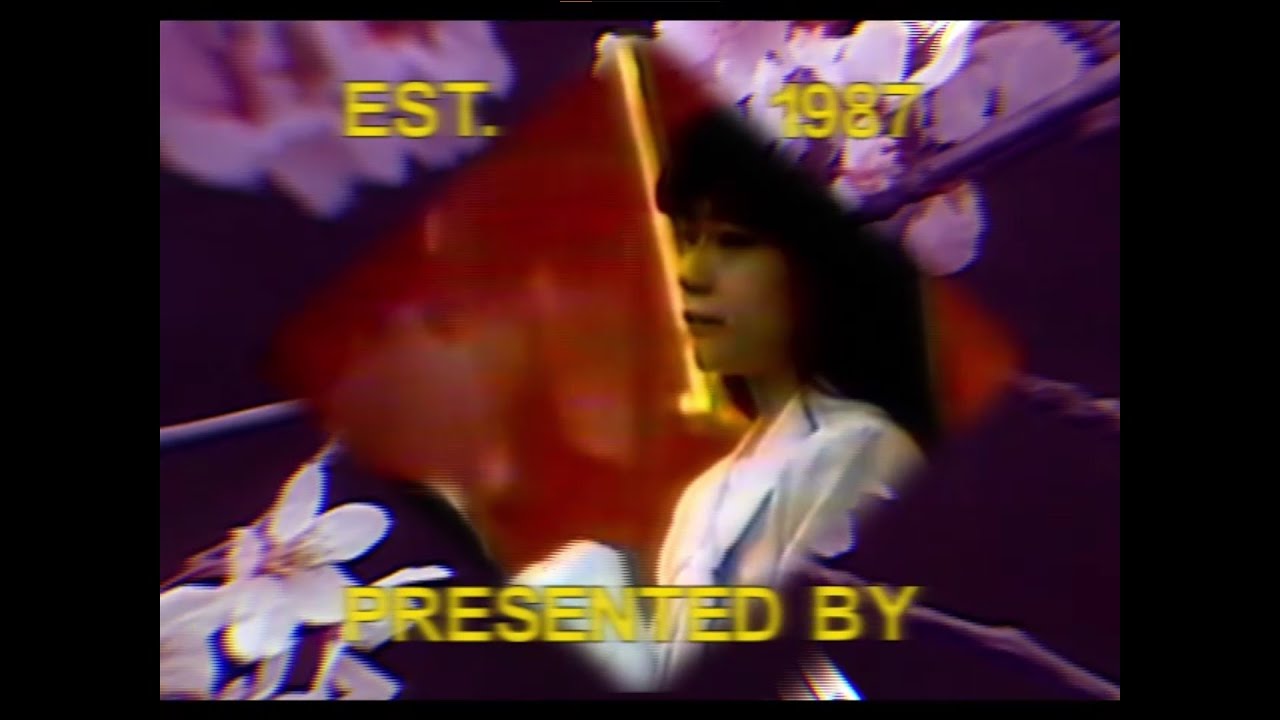 VAPORWAVE Japanese VHS Aesthetic 80s