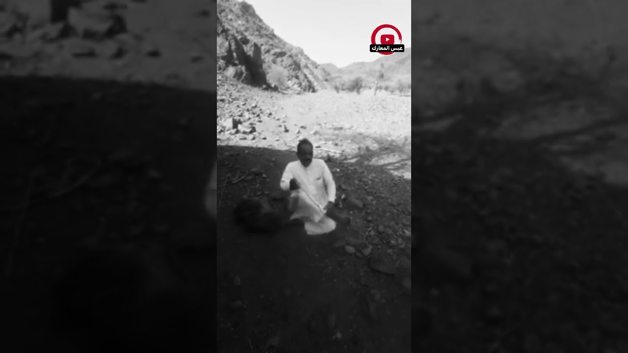 قصه غزو ( ملح ) قبيله جهينه بقياده شيخهم ابن غنيم ضد فرسان قبيله الرشايده بني رشيد📚
