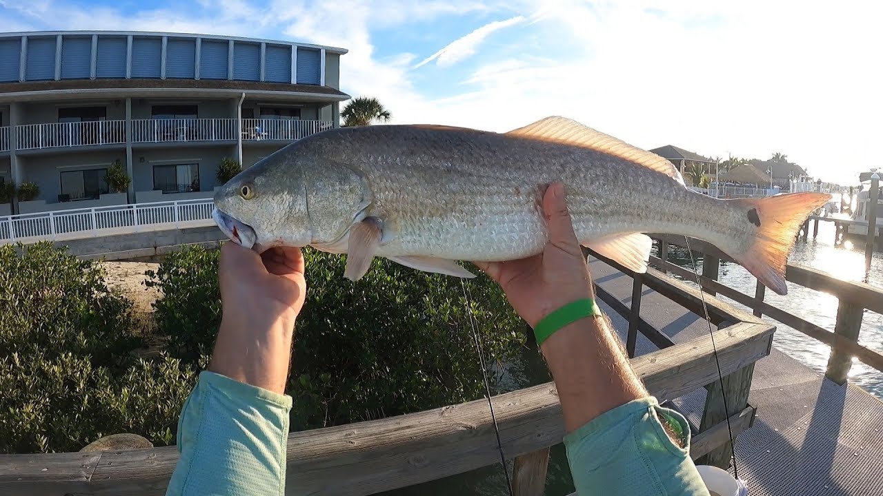 At the Dockside Inn, Fort Pierce, FL  #fishing #outdoors #fishinglife #redfish