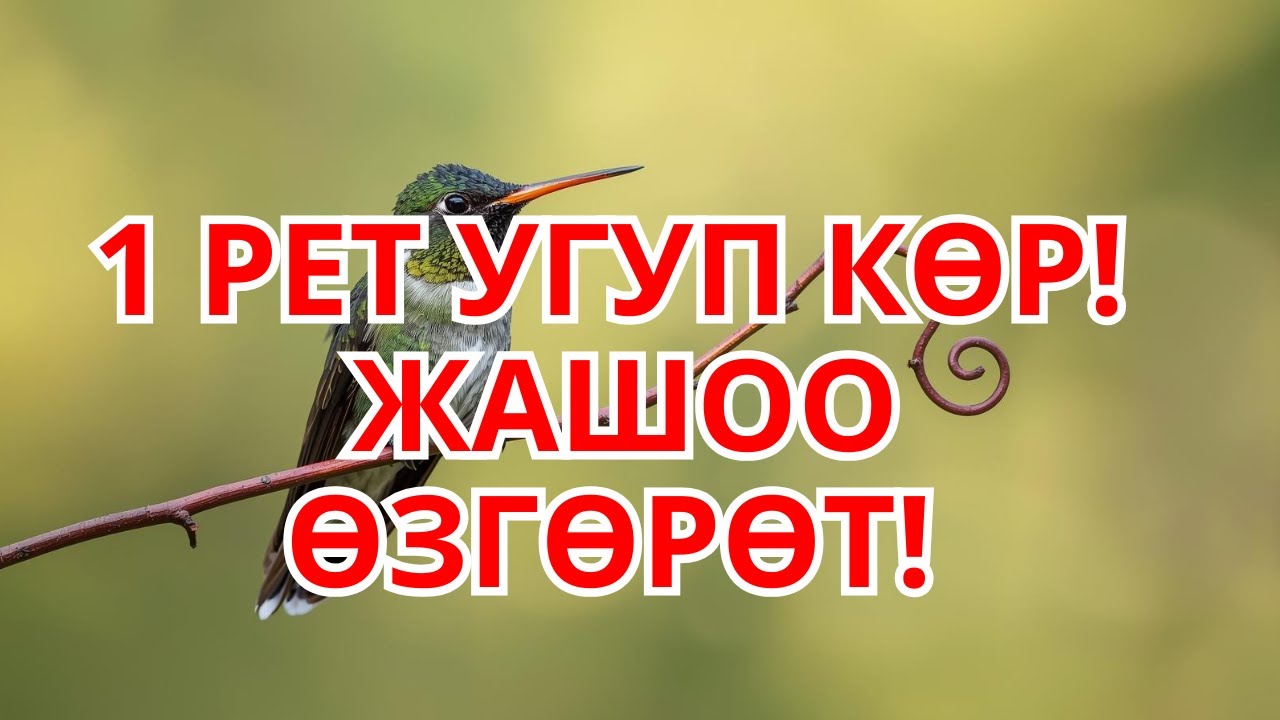1 РЕТ УГУП КӨР! 🗝️ Бактылуу Жашоого ЖОЛ АЧКАН Дуба