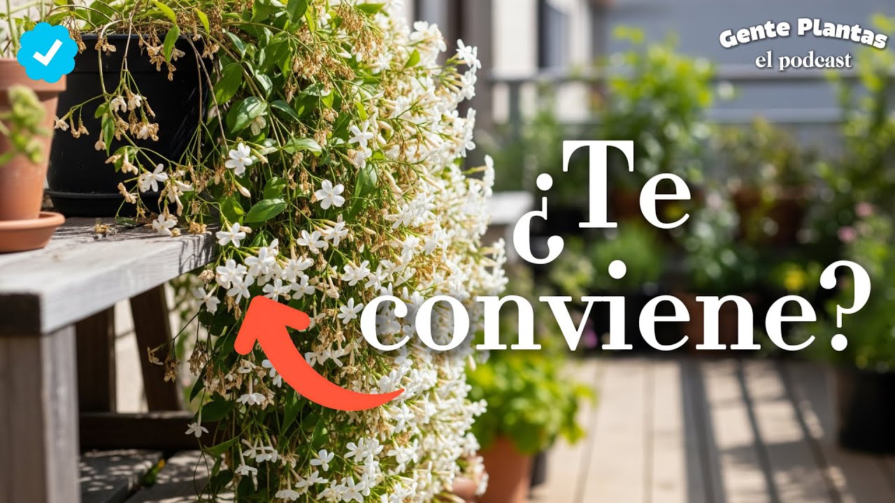 La Especie Correcta | Gente Plantas