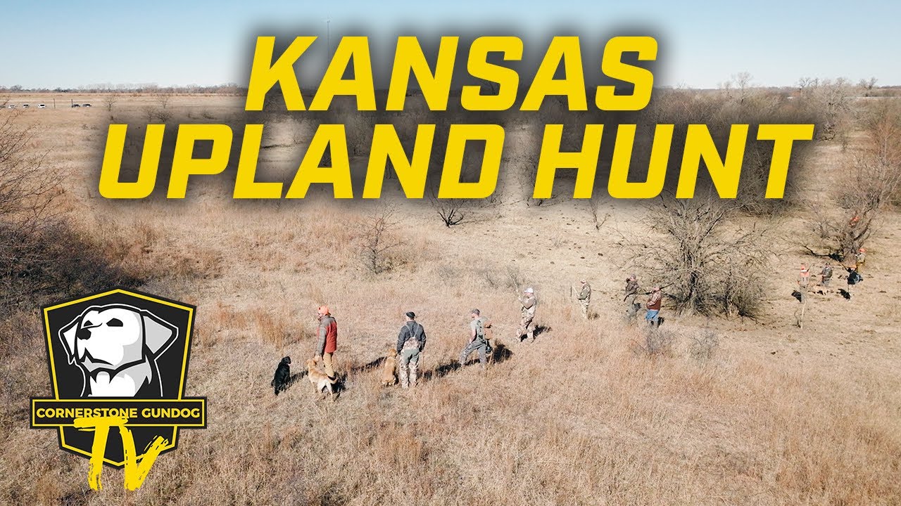 No Ducks? No Problem! - Upland Hunt in Kansas