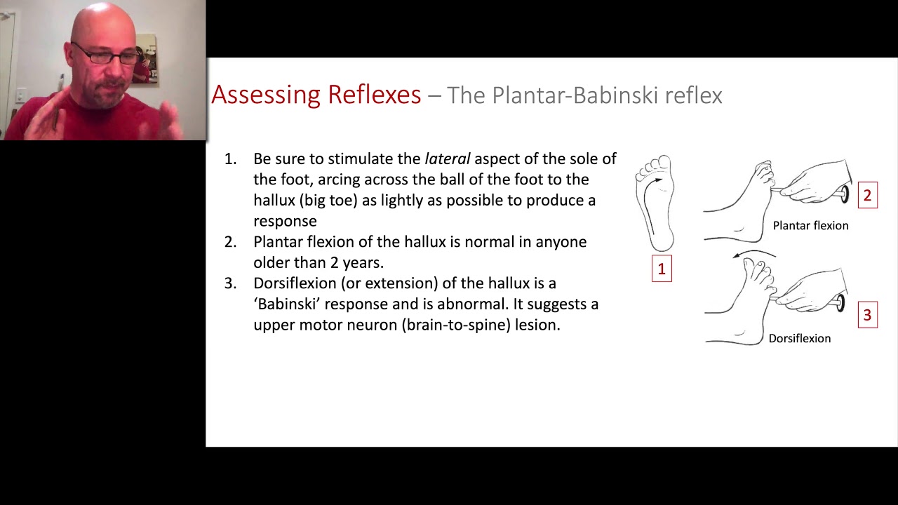 Paramedic Neurological Assessment 8 - Reflexes