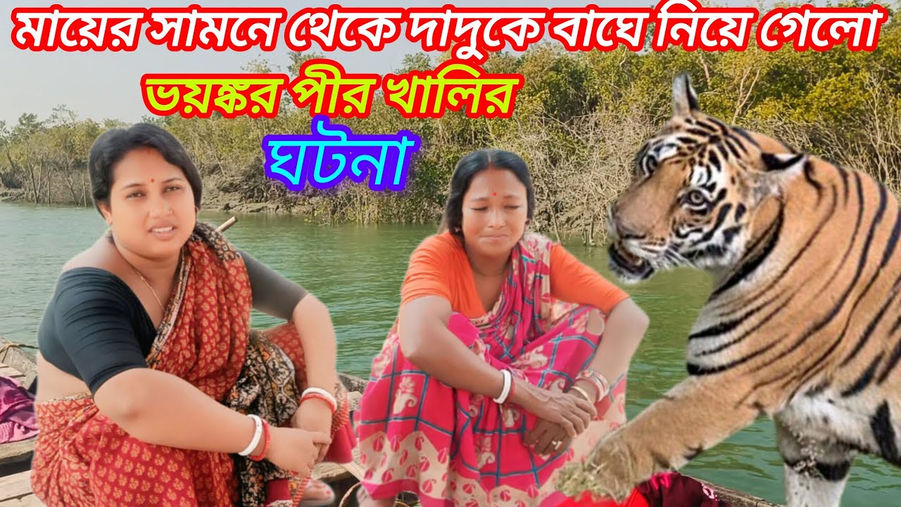 মায়ের সামনে থেকে কি ভাবে দাদুকে বাঘে ধরে নিয়ে গেলো শুনুন। #Sundarban Tiger attack 