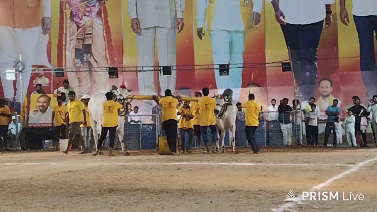 చిలకలూరిపేట టౌన్||న్యూ క్యాటగిరి విభాగం 6వ జత గోణనర్షింహరెడ్డి గారు 20-1-2026💥💥