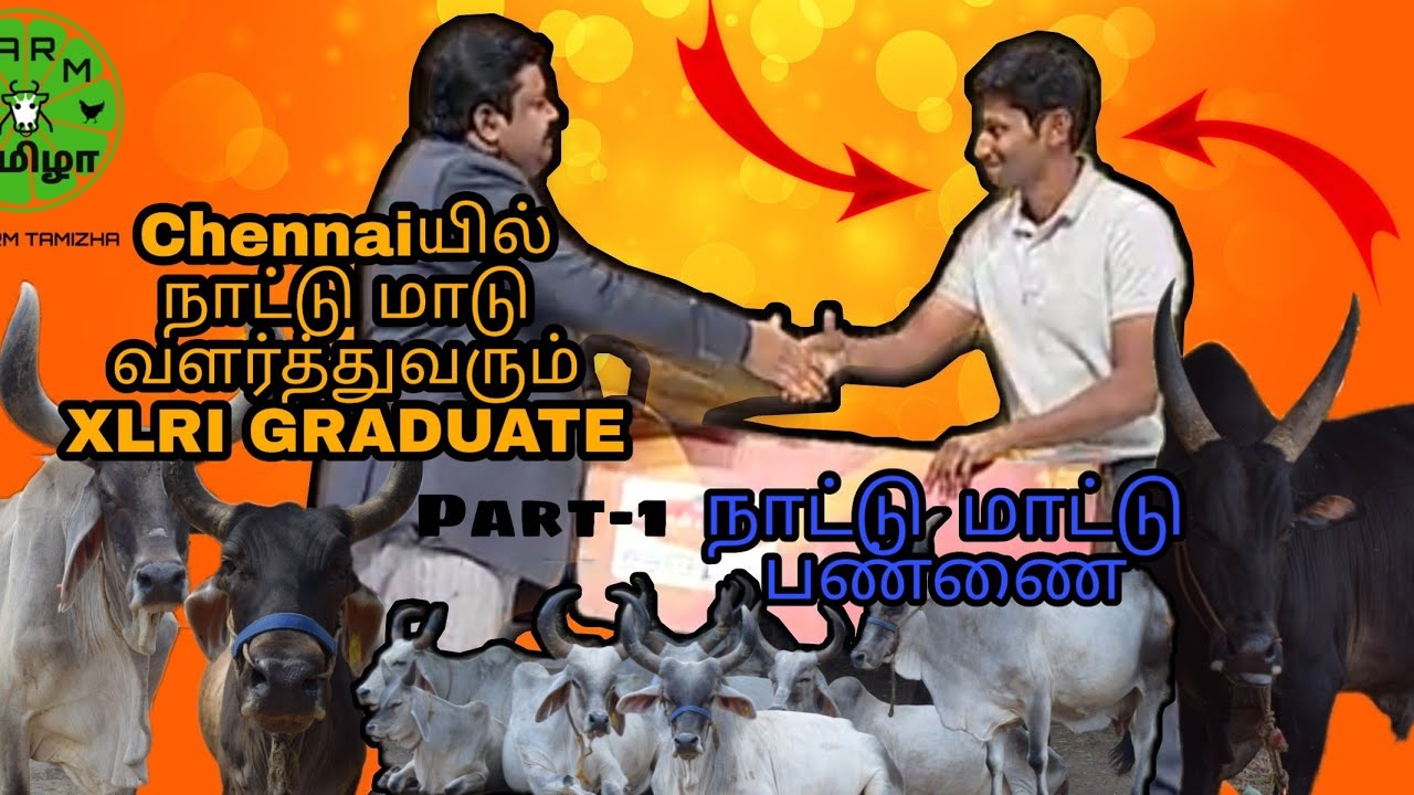 நாட்டு மாட்டு பண்ணை-Part1 | Chennaiயில் நாட்டு மாடு வளர்த்து வரும் XLRI Graduate | Kankrej Farm |