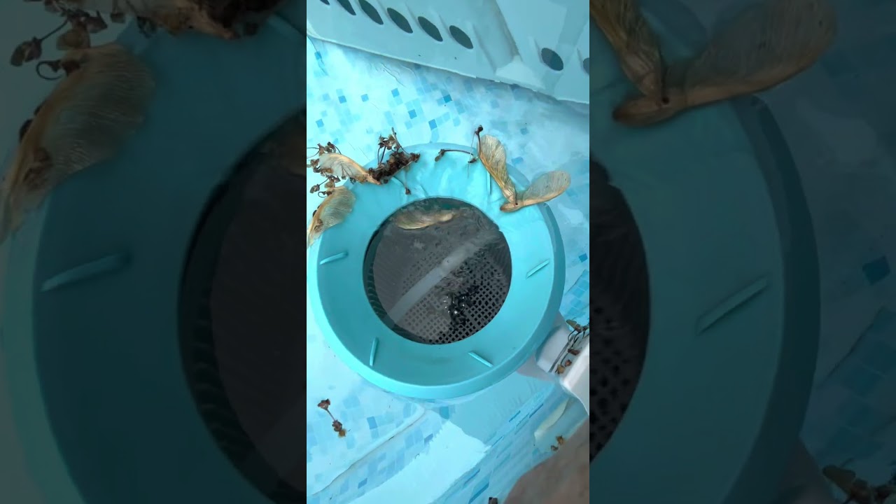 Intel deluxe skimmer modification