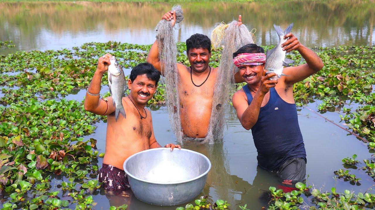 Village pond net fishing and cooking | পুকুরে জাল দিয়ে মাছ ধরে রান্না করে খাওয়া | cooking vlog
