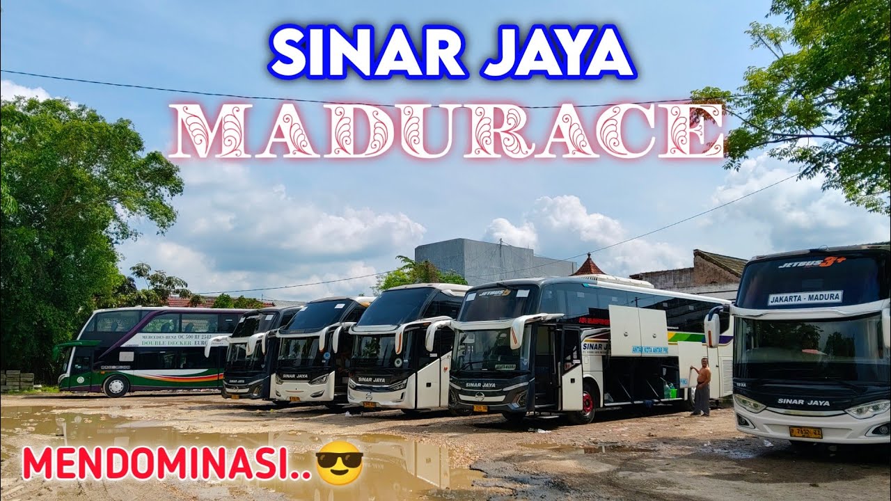 SINAR JAYA MADURACE 😍 || Banyak Banget Bus SINAR JAYA di Madura