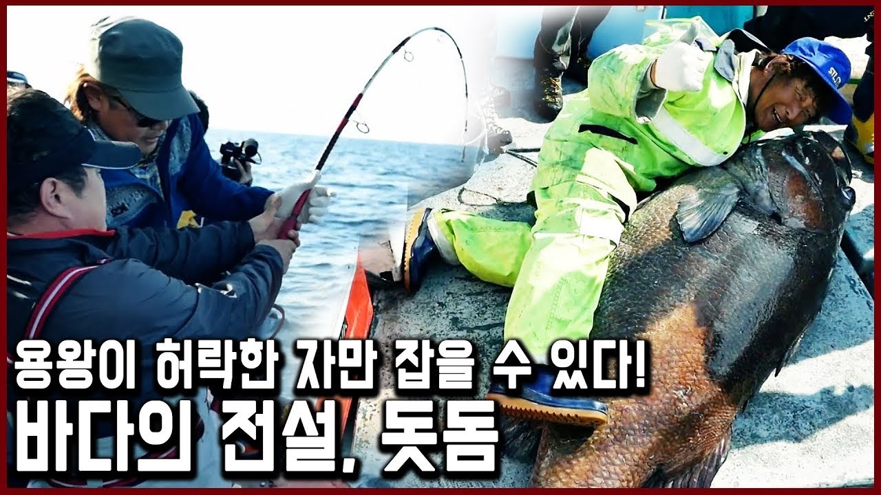 #희귀어 #최고가520만원_용왕이 허락한 자만 잡을 수 있다는 바다의 전설, 돗돔 (KBS_2015.08.08 방송)
