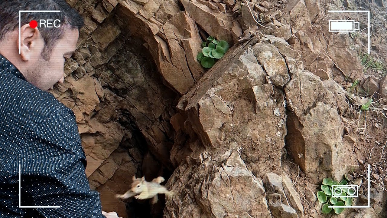 Sabr Dri with Caucasian Squirrel
