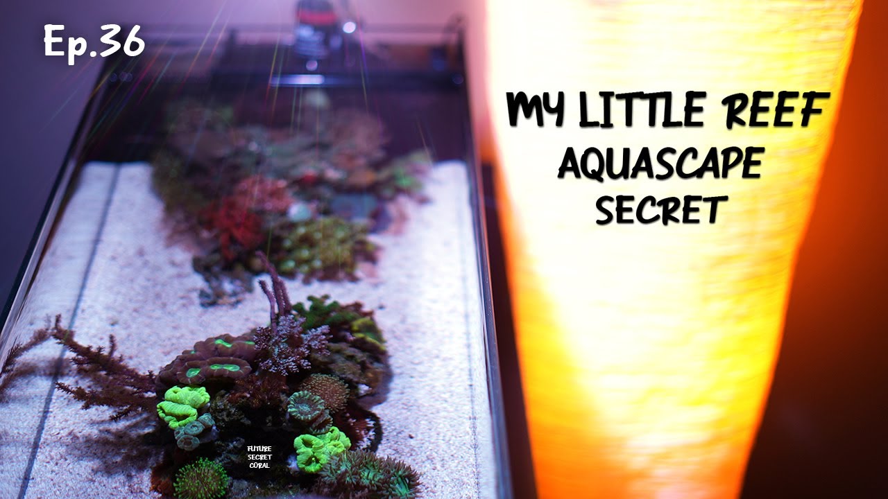 How to reef Aquascape with corals | Ep.36 Nano Reef Competition