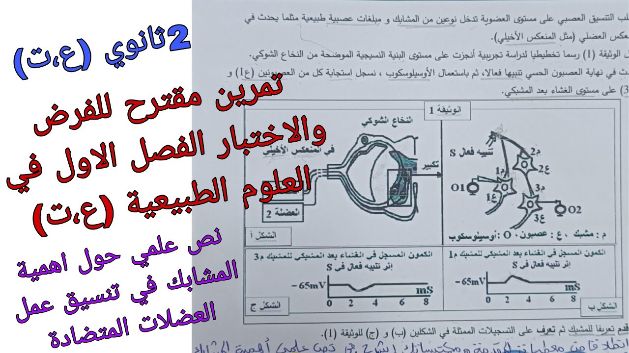 تمرين مقترح للفرض والاختبار الفصل الاول في العلوم الطبيعية للسنة الثانية ثانوي شعبة علوم تجريبية