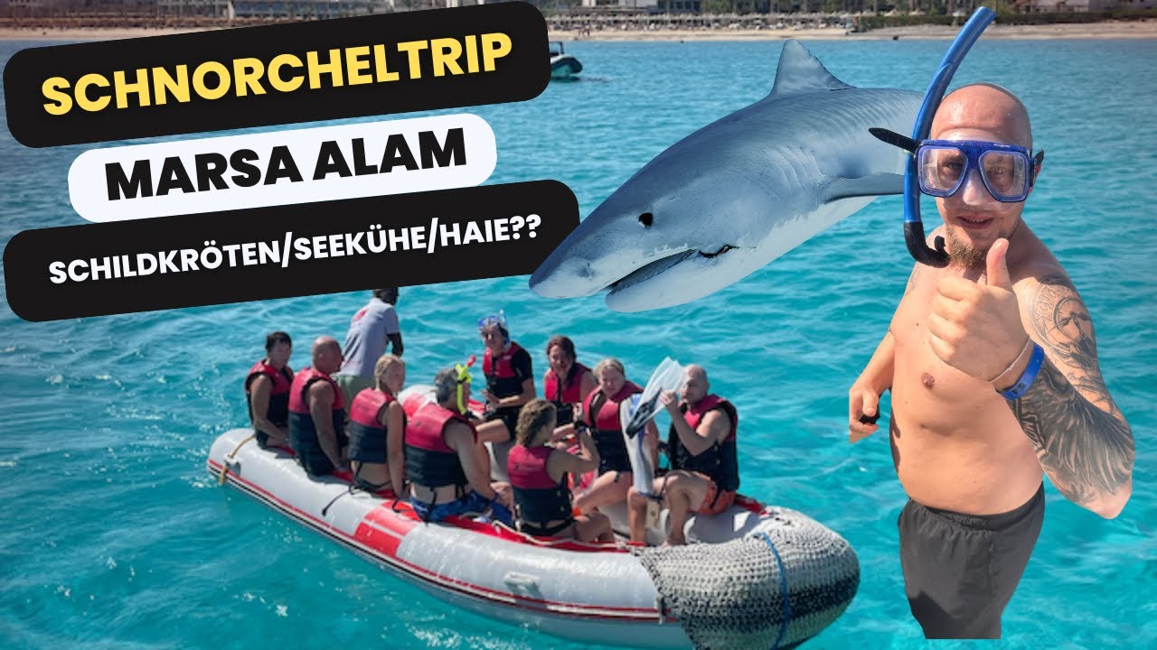 Schnorcheltrip in Marsa Alam #marsaalam #ägypten #egypt #shark