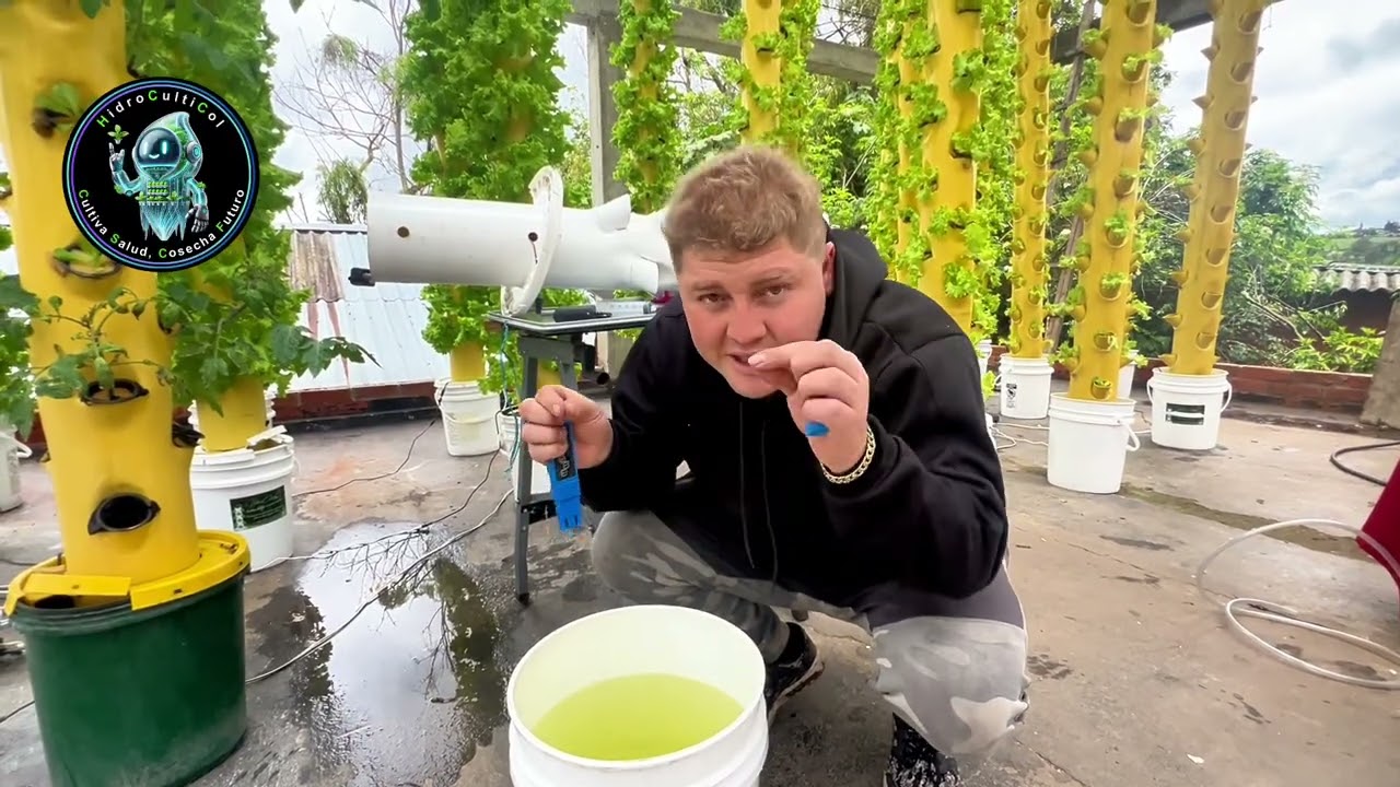 Guía paso a paso para instalar tu aeroponico #aeroponia #desarrollosostenible #plantas #salud