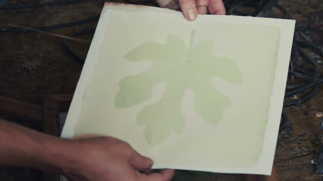 Tutoriel - r&eacute;aliser un anthotype