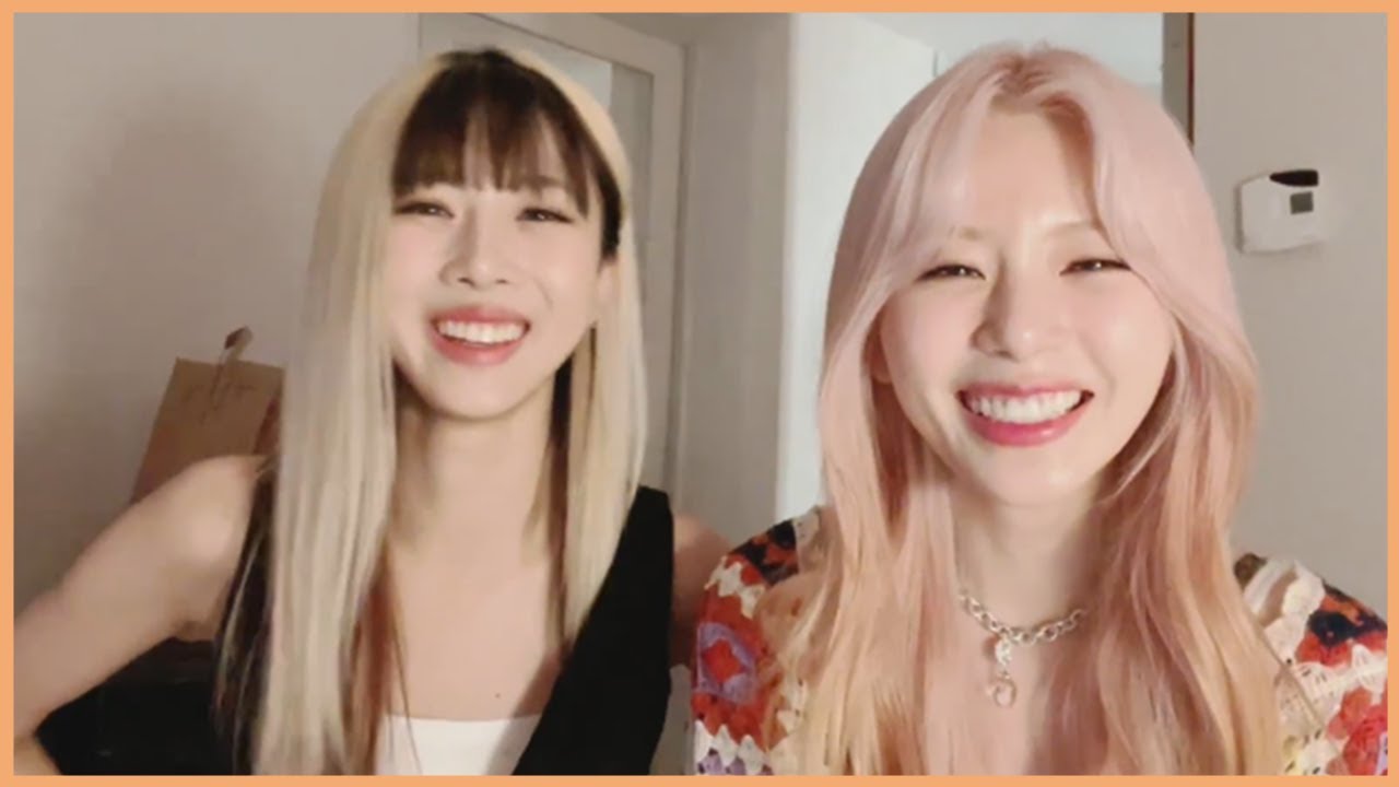 welcome to jiu & yoohyeon's live 🐰🐶 드림캐쳐 지유 유현 라이브 환영합니다~
