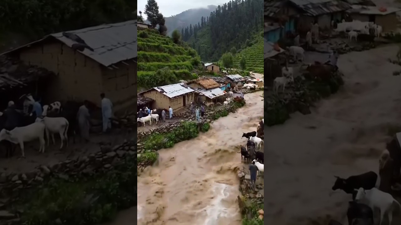 Heavy flood 😭 rain thunderstorm ⛈️ Kashmir village #flood2025 #youtubeshorts #viralvideo #kashmir