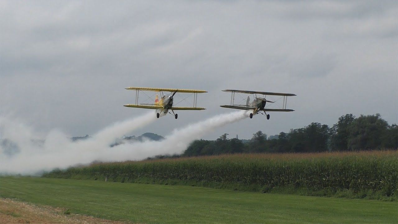 *SMOKE ON* Platzer Kiebitz display | Grabersdorfer Flugtag 2019