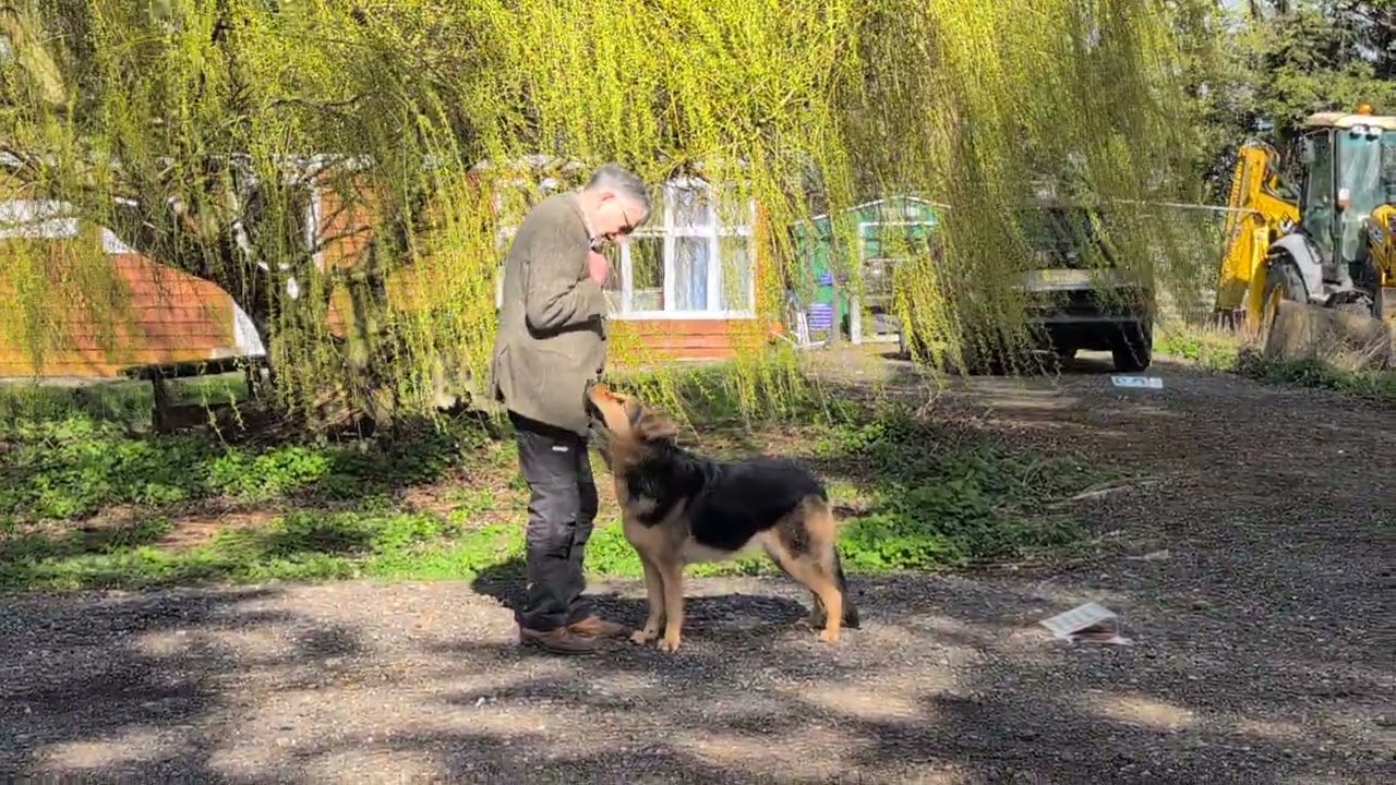 Alistair Randall and Bella Level 1 with Bonus C1033-D2372 March 2026