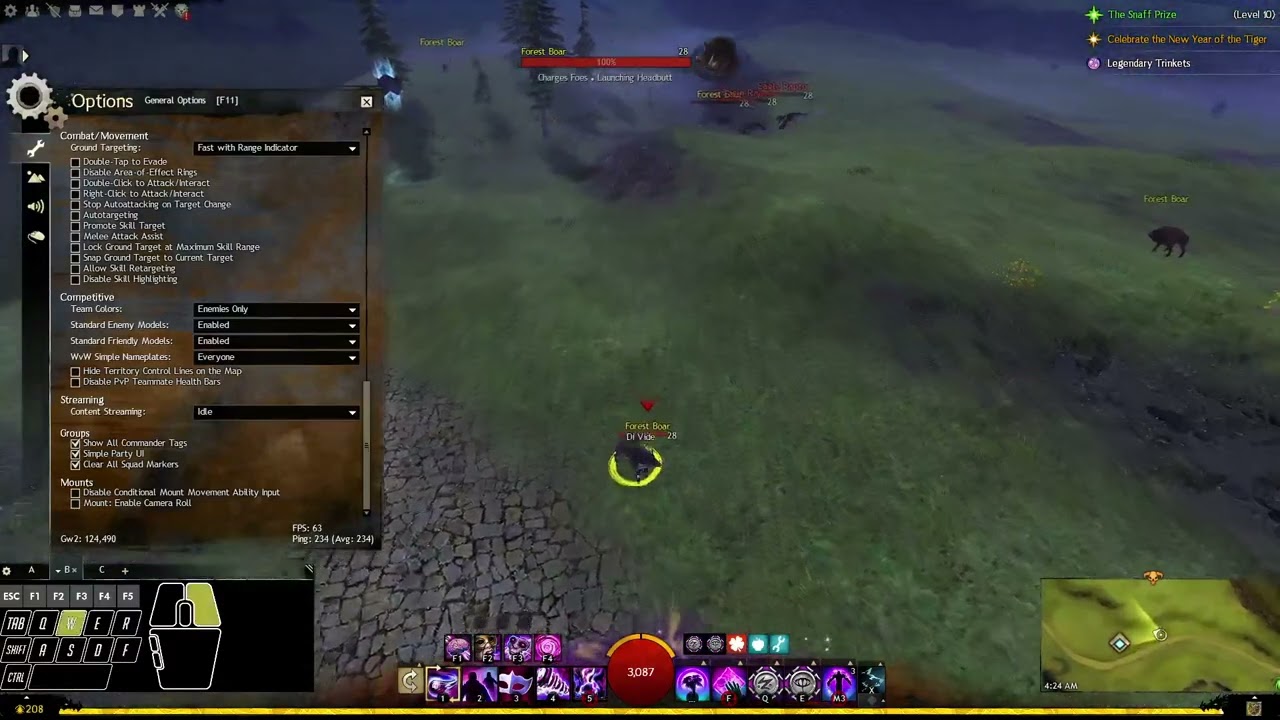 [Guild Wars 2] Melee Attack Assist in General Options