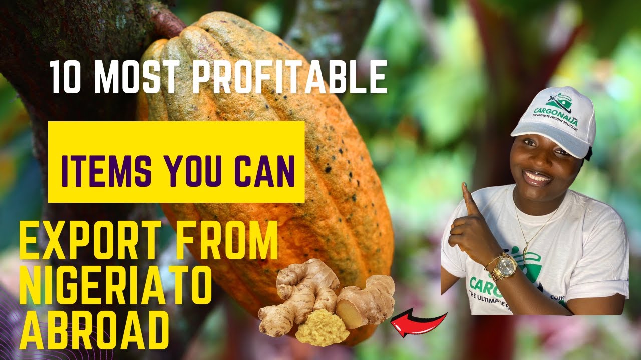 10 Most Profitable Items to Export from Nigeria to Abroad
