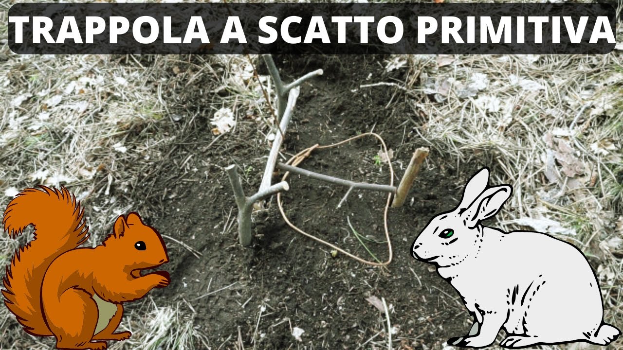 TRAPPOLA A SCATTO PER ANIMALI. TUTORIAL SU COME COSTRUIRE UNA TRAPPOLA DA SOPRAVVIVENZA