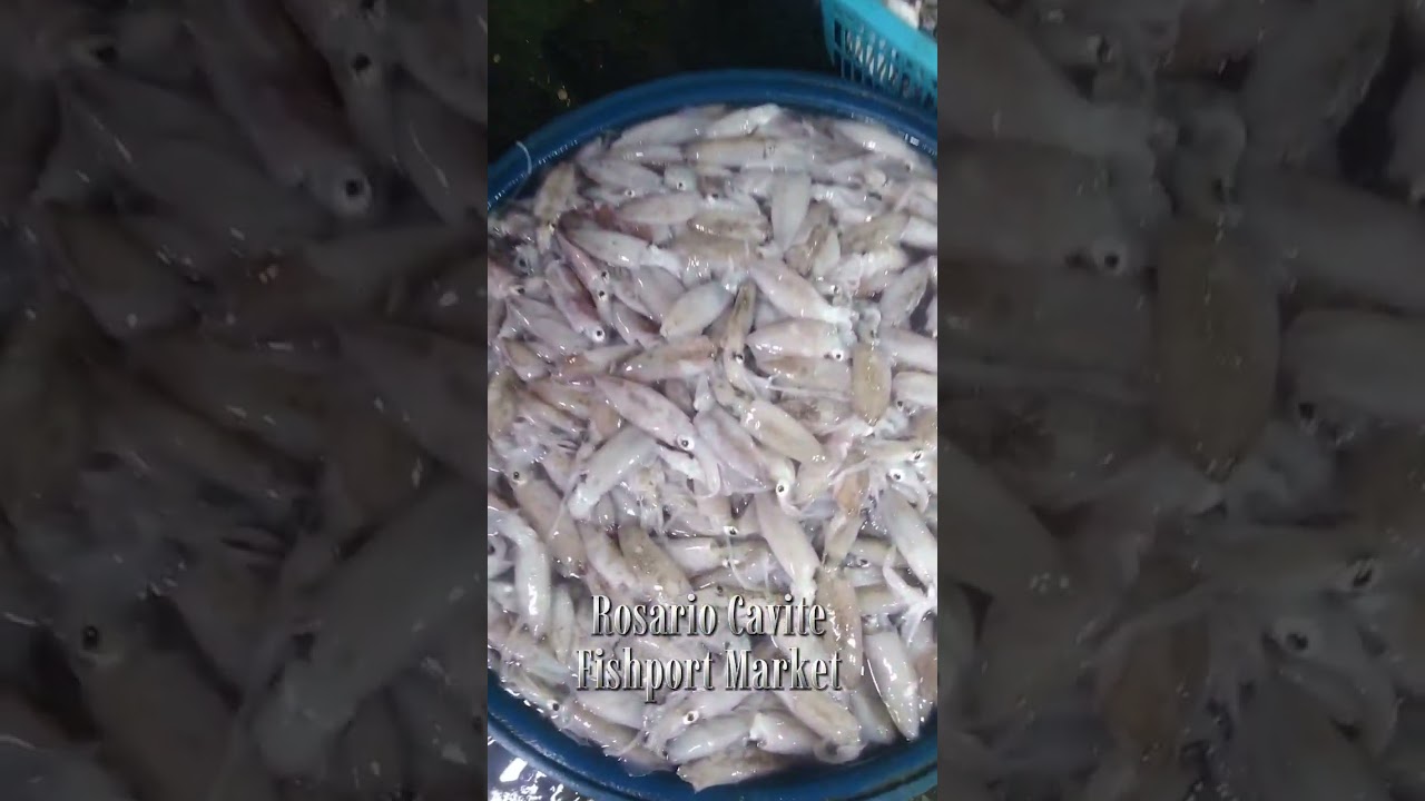 Rosario Cavite Fishport Market #fishmarket 