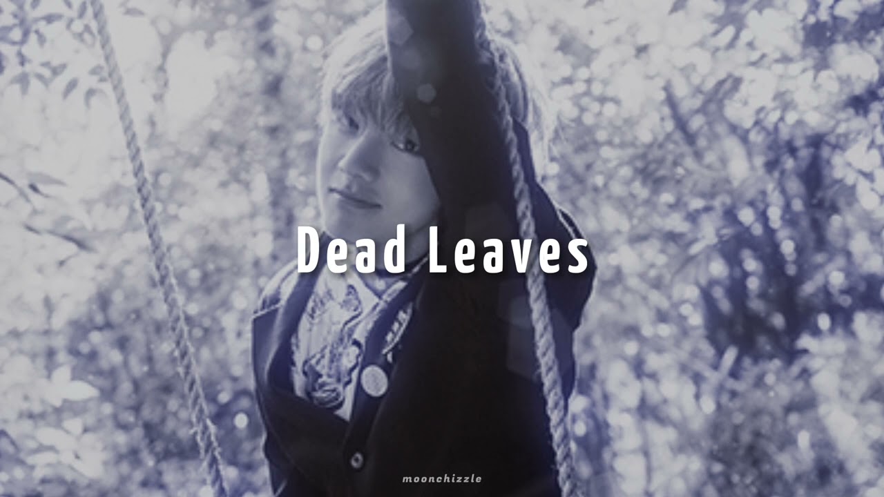BTS - Dead Leaves (slowed+reverb) &bull;