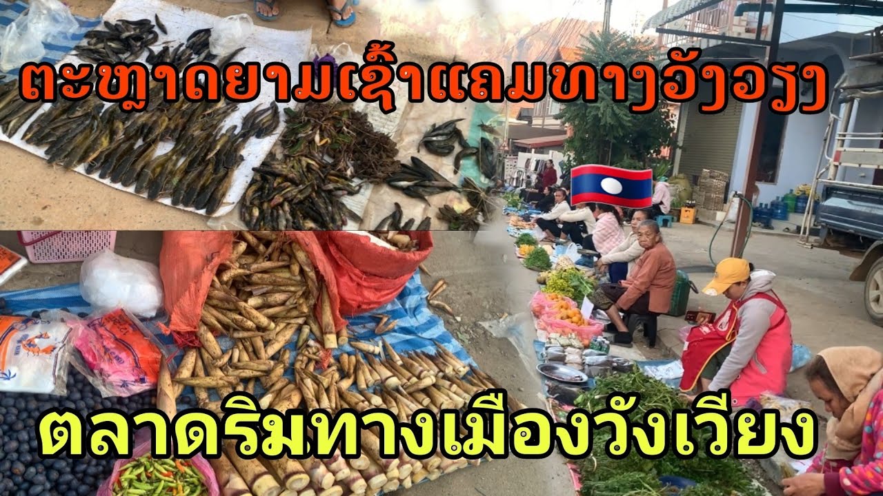 Laos : ตลาดริมทางยามเช้าเมืองวังเวียง/ຕະຫຼາດເຊົ້າແຄມທາງເມືອງວັງວຽງ