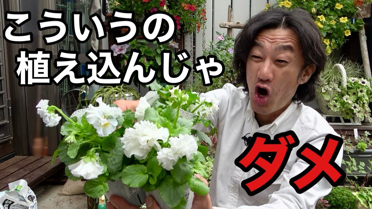 たったこれだけで満足度200%保証　【園芸超人カーメン君】