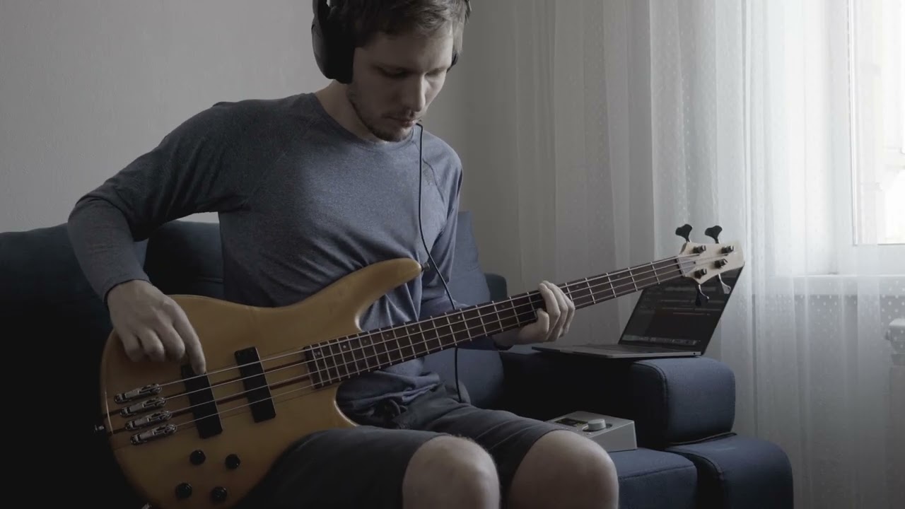 Nowisee -  bluemoon (bass cover)