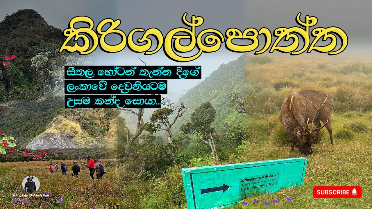 Kirigalpotta Mountain Hike | කිරිගල්පොත්ත ලංකාවේ දෙවෙනියට උසම කන්ද