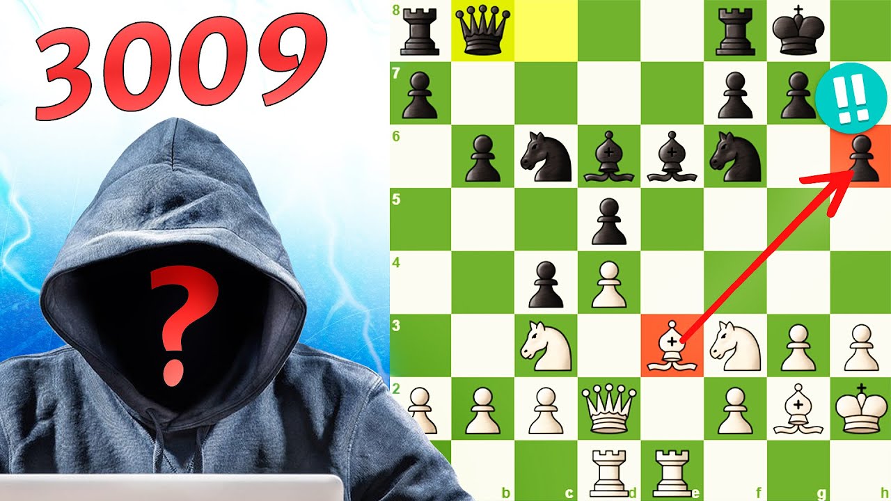 INACREDITÁVEL ELEFANTE38 CHEGOU A 3009 de RATING