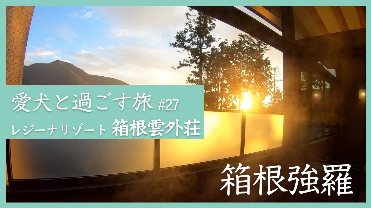 【レジーナリゾート箱根雲外荘｜箱根強羅】愛犬と泊まれる強羅の隠れ宿、客室露天風呂付き、部屋食（朝夕）でワンちゃんとずっと一緒に過ごす。