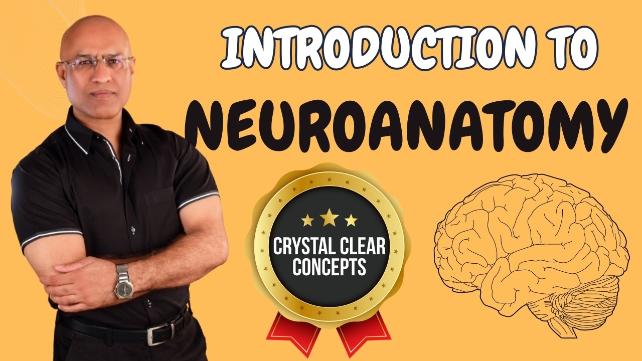 Intro to Neuroanatomy | Neurophysiology | Neuroscience | Central Nervous System
