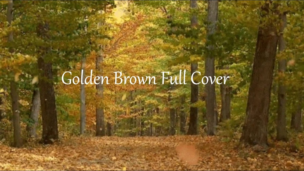 Golden Brown Full Cover!