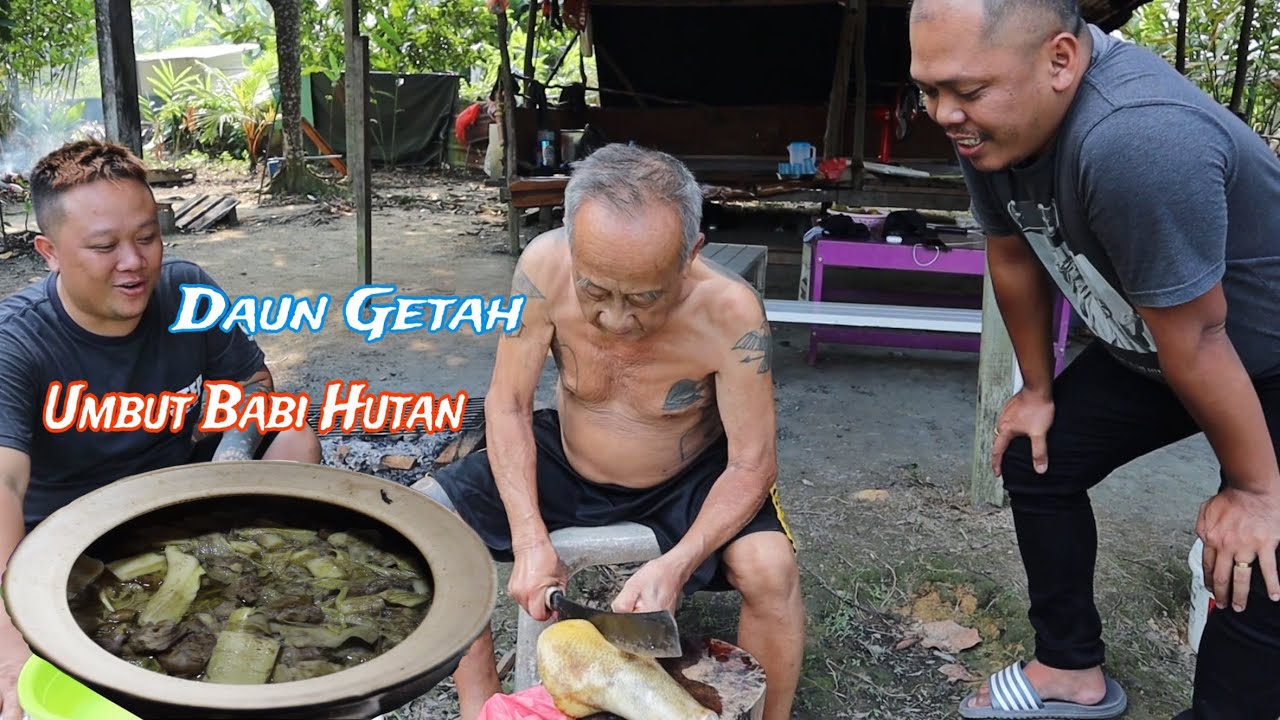 Babi Hutan Umbut Sawit // Daun Getah Goreng Basah // Realiti Resepi Kampung Borneo //