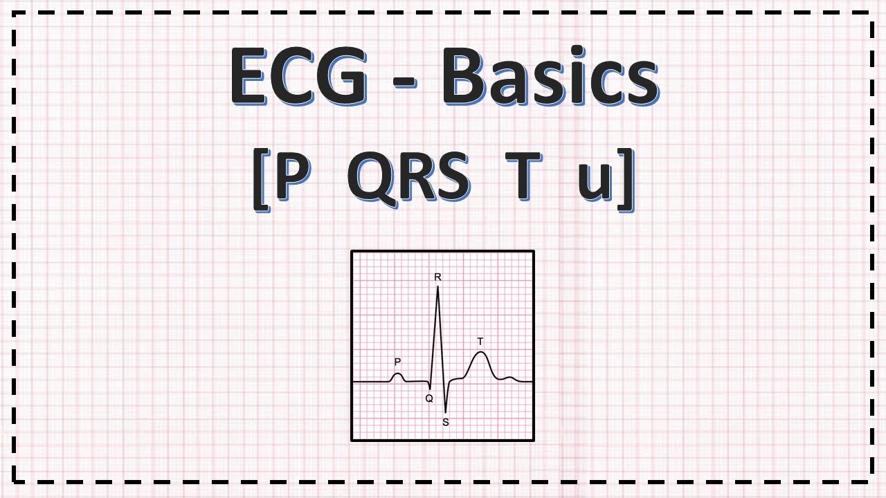 ECG - Waves | ECG from Basics | PQRST u