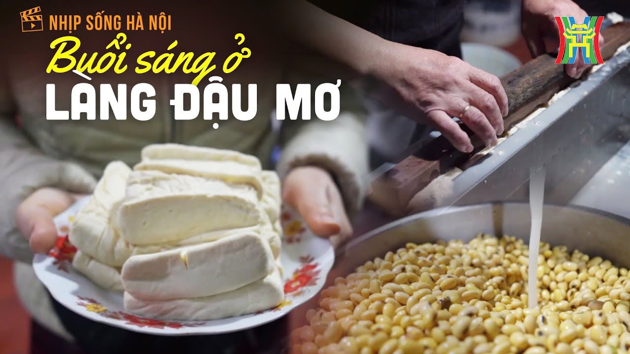 Buổi sáng ở làng đậu Mơ | Nhịp sống Hà Nội