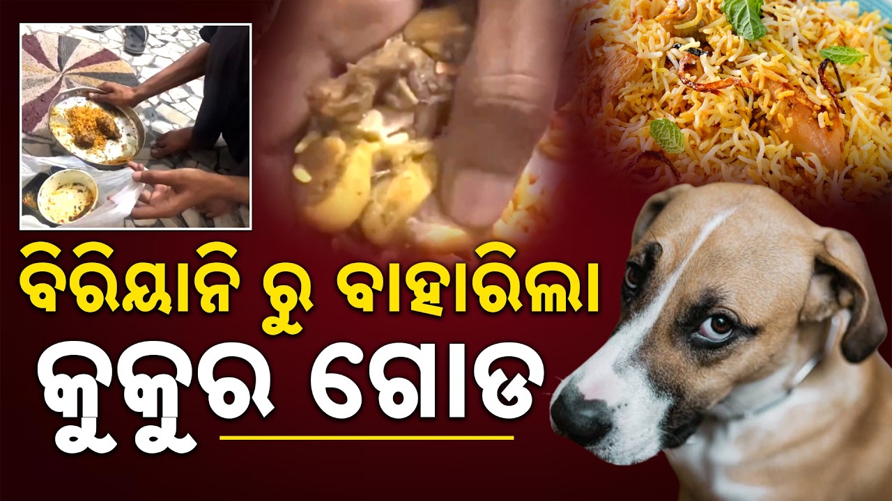 Dog Meat in Chicken Biryani? Customer Claims Shocking Discovery After Online Order || Sambad