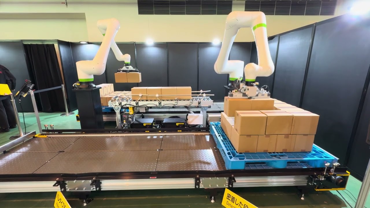 Robotic Palletizing & Depalletizing