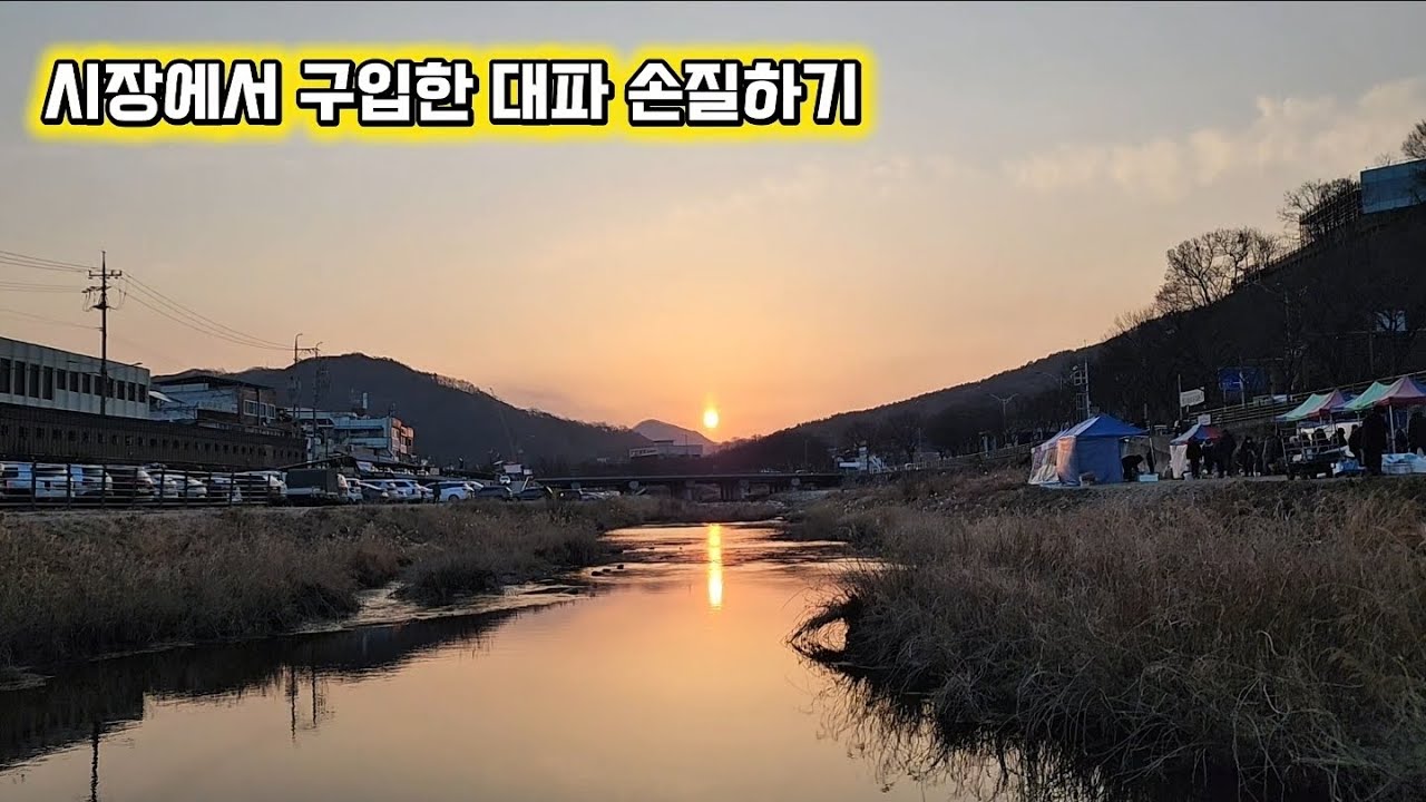 전주 남부시장의 또 다른 시장! 새벽장터! 도깨비시장!  새벽배송 대신에 새벽 장보러 가요!