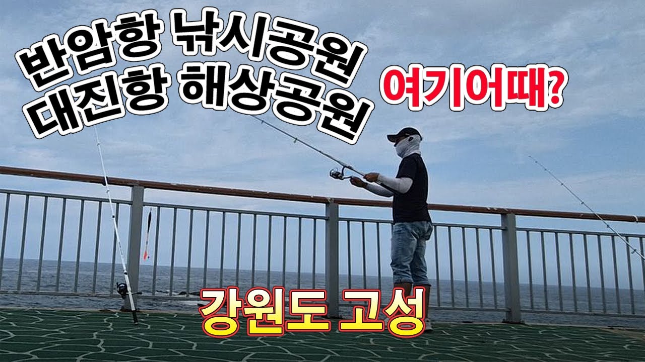 강원도 반암항낚시공원,대진항해상공원/고기나오나? 안나오나?강원 고성으로 2박 낚시여행